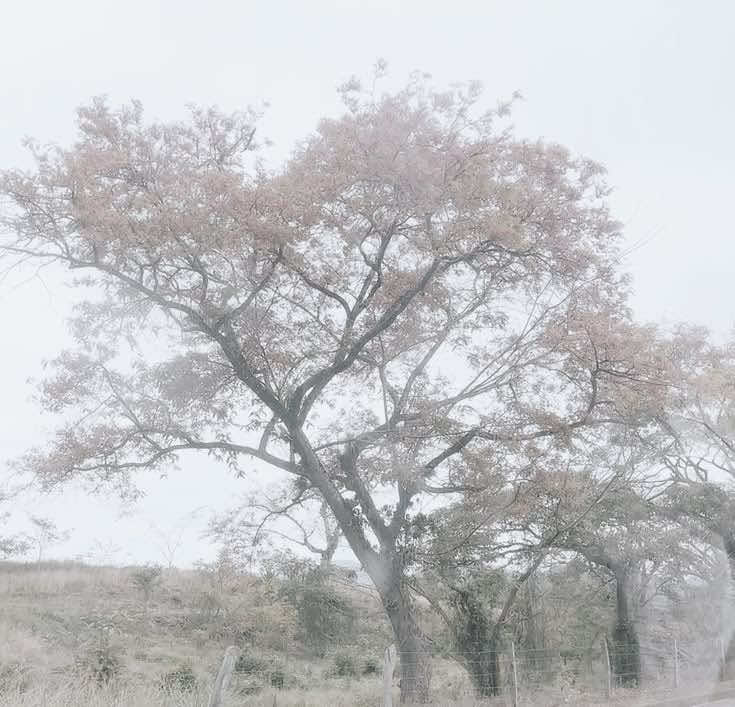 @꒰ྀི১ 𝒜𝓃𝑔ℯ𝓁 ໒꒱ིྀ