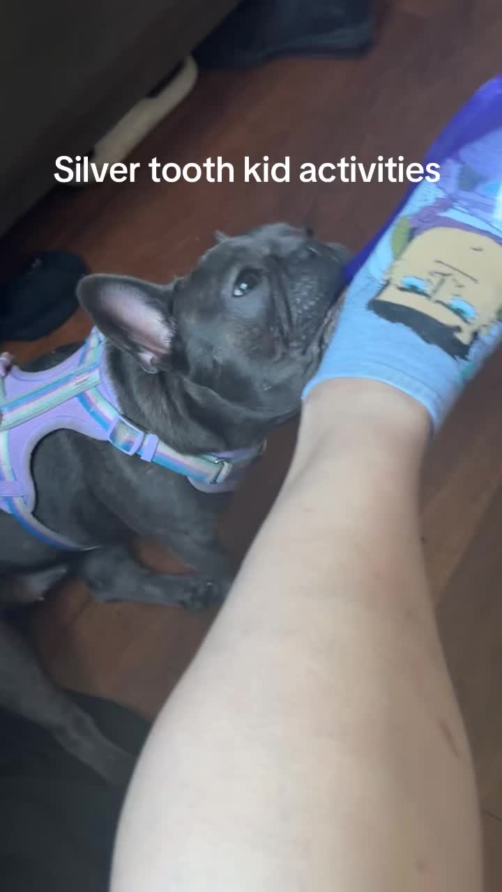 @Zoe Love The Frenchie