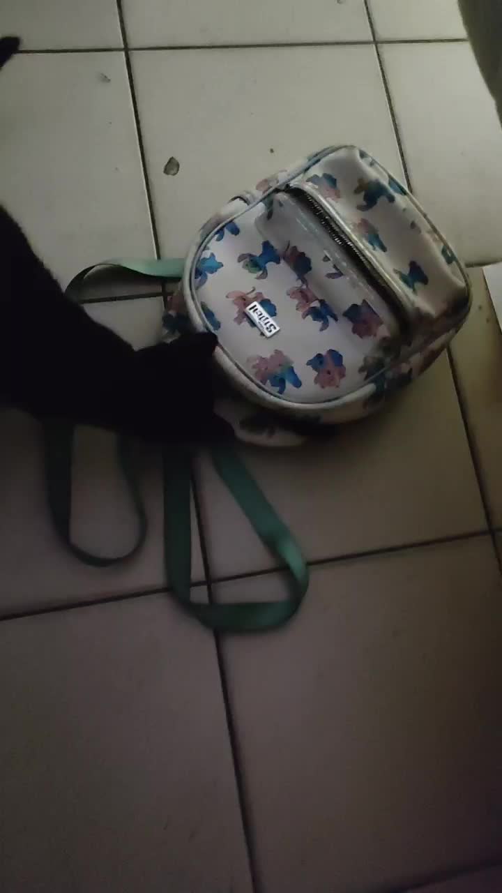 @OceaneetDylan🕊️❤️
