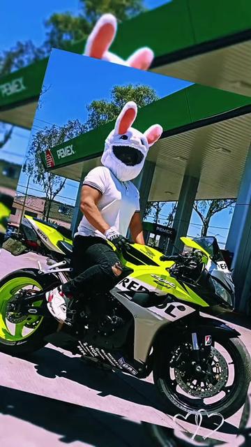 @BunnyRoad600