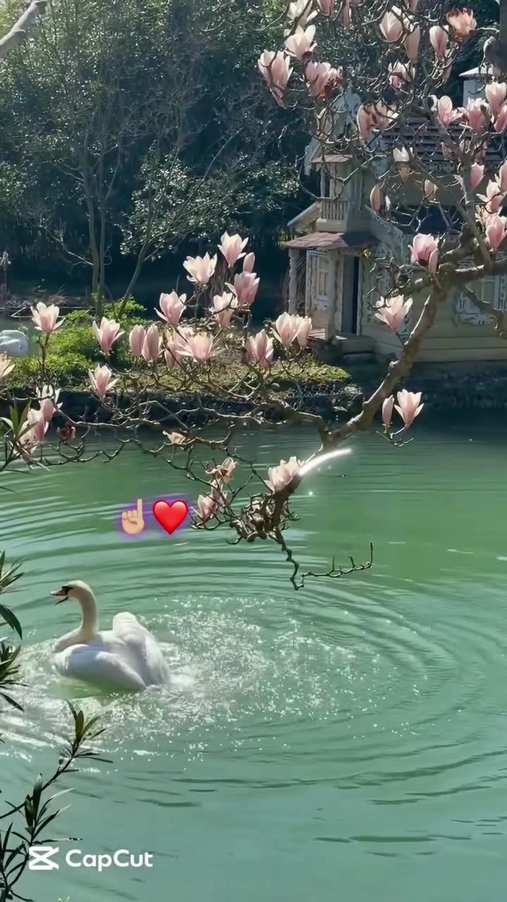 @🪄Hiyam💖✨&reg;