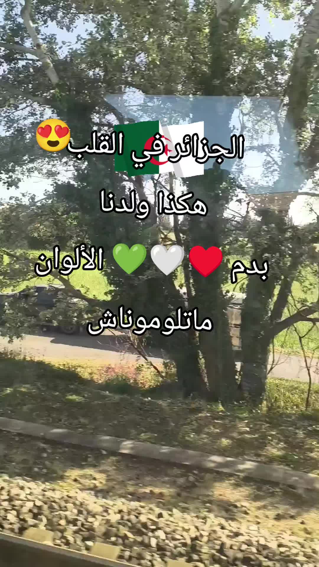 @CHAOUIA.DZ