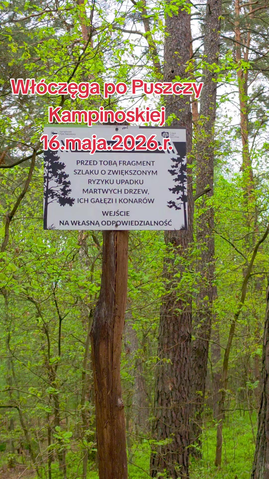 @LusiaFoniewicz TAXI 🐇 Stuart