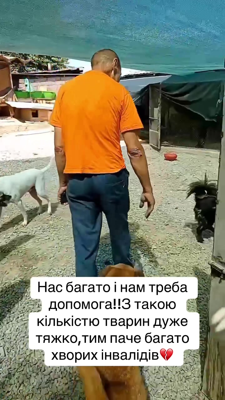 @kvitochki222