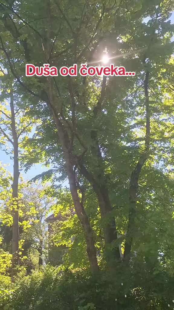 @💙Du&scaron;a od čoveka💙
