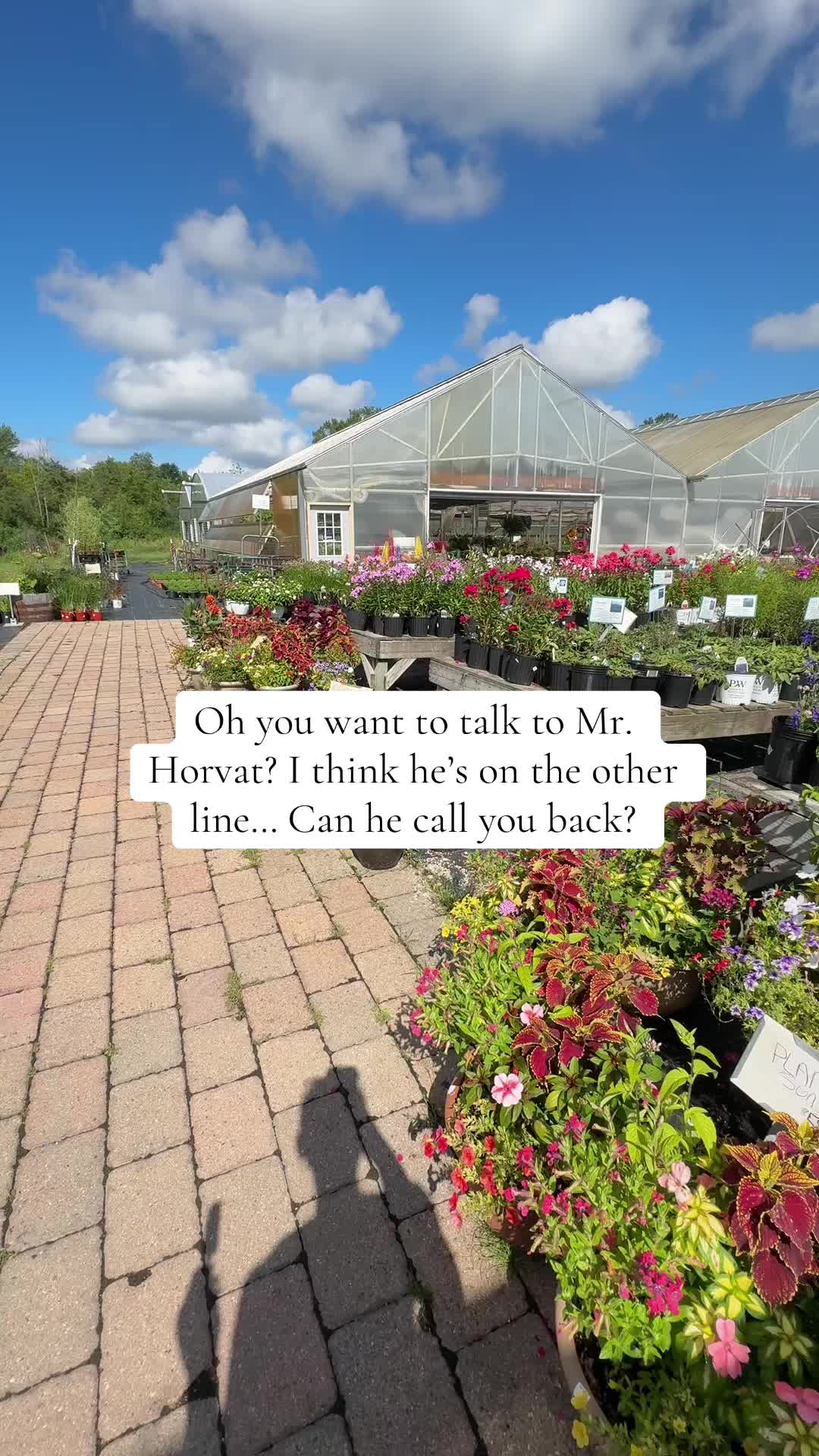 @Angela🪴💌🌵