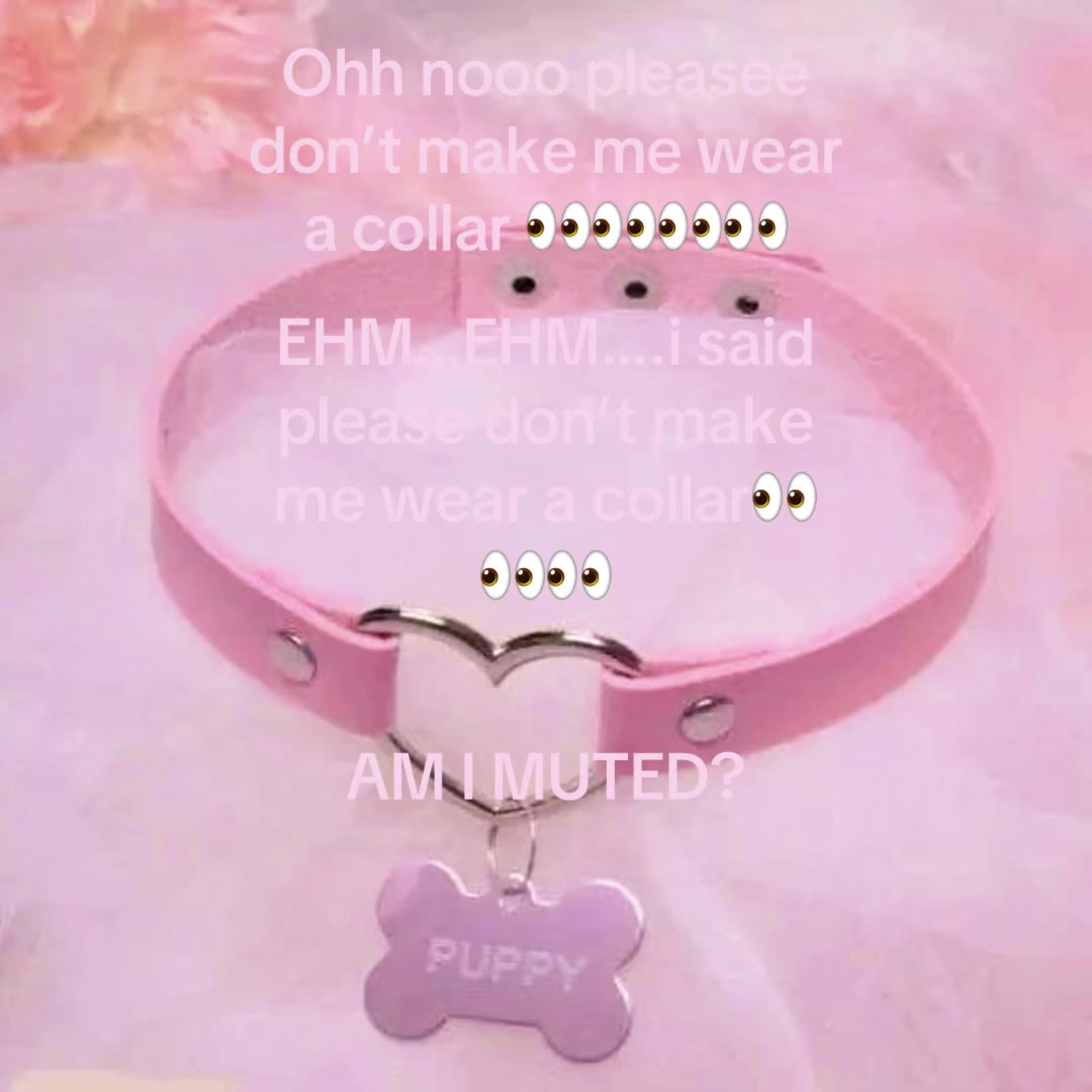 @🌺