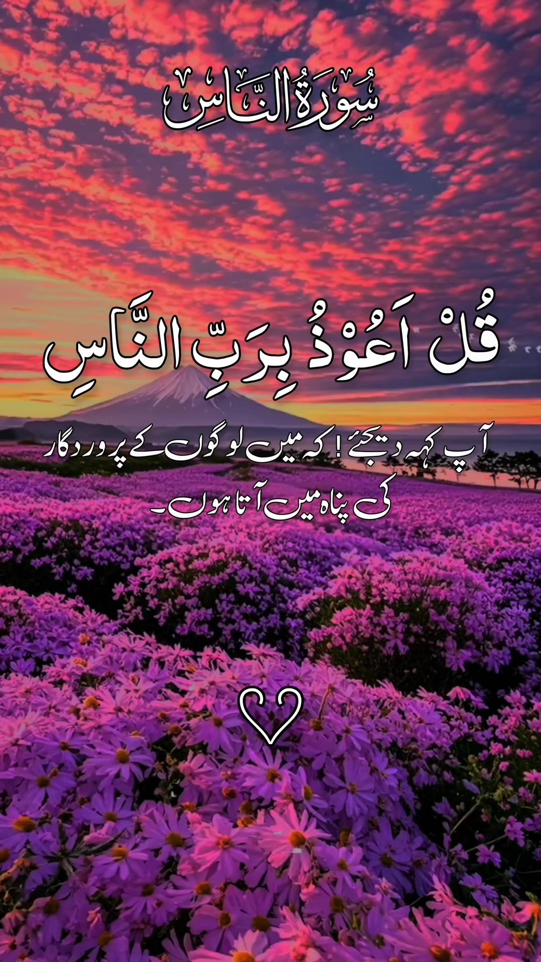 @❣️ Words of Allah ❣️