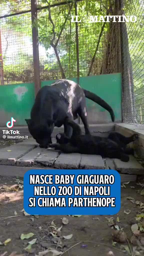 @BeniaminoEspositoAvvdopopolo