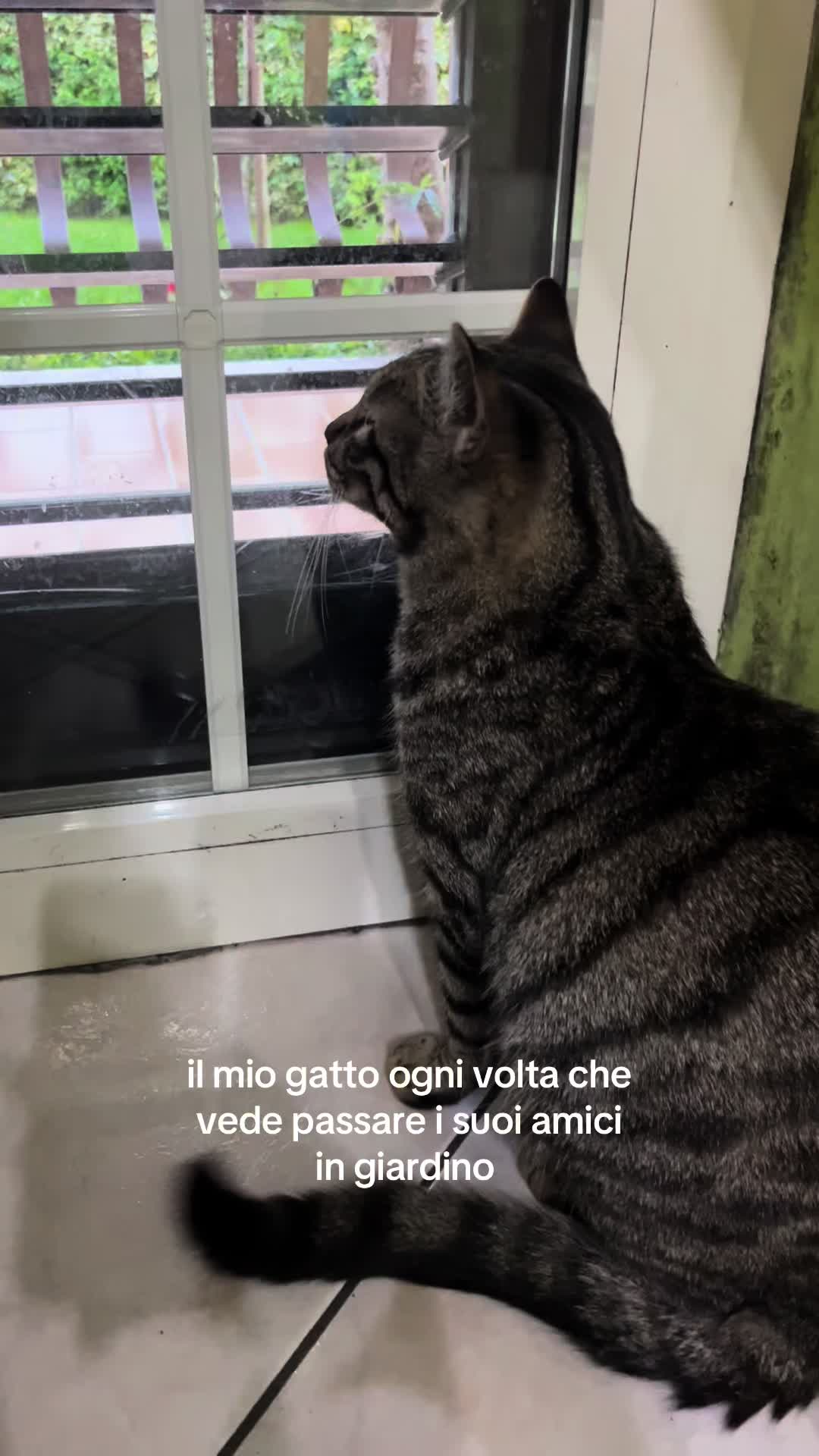 @Martina Rotondi