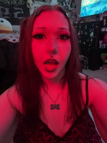@kat¡e ⋆🐾🦴˚