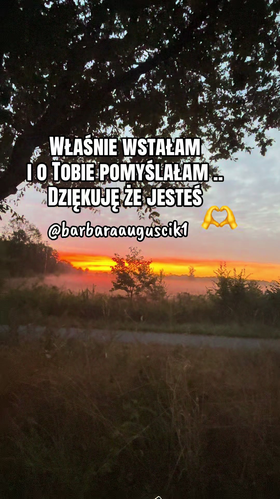 @barbaraauguscik1🇵🇱🇩🇪