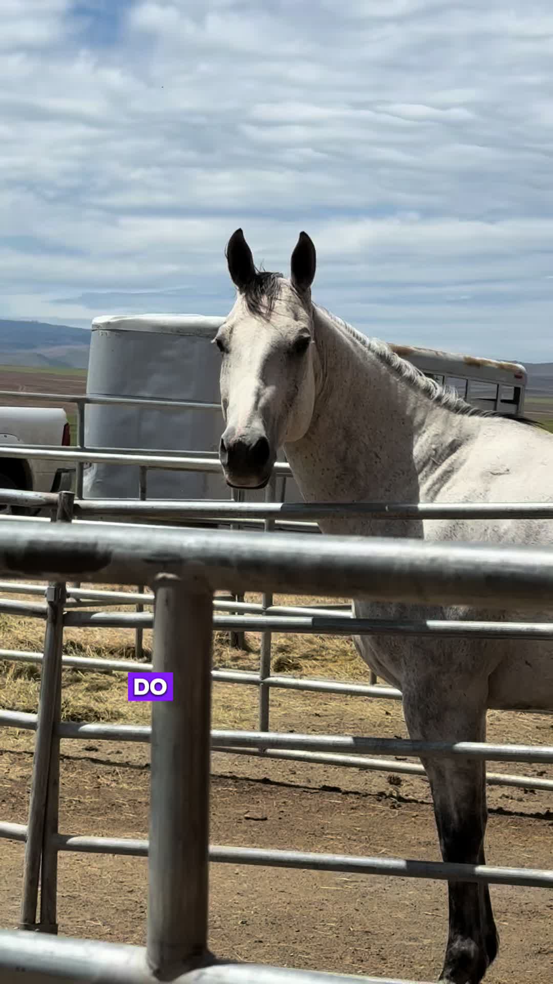 @Cowgirl Tuff Colt Training ❤️