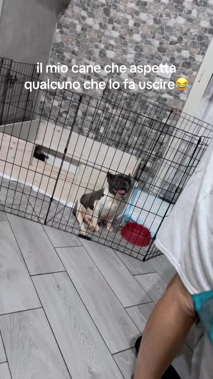 @♥️ FedeGinniOri♥️