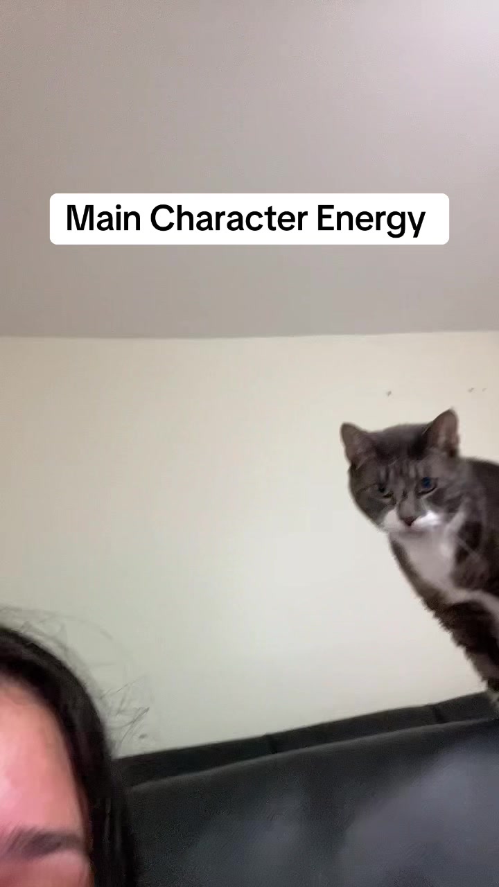 @chattygee🫧
