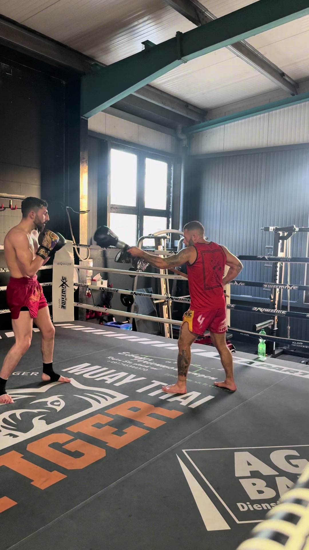 @Tiger Muay Thai Sinsheim
