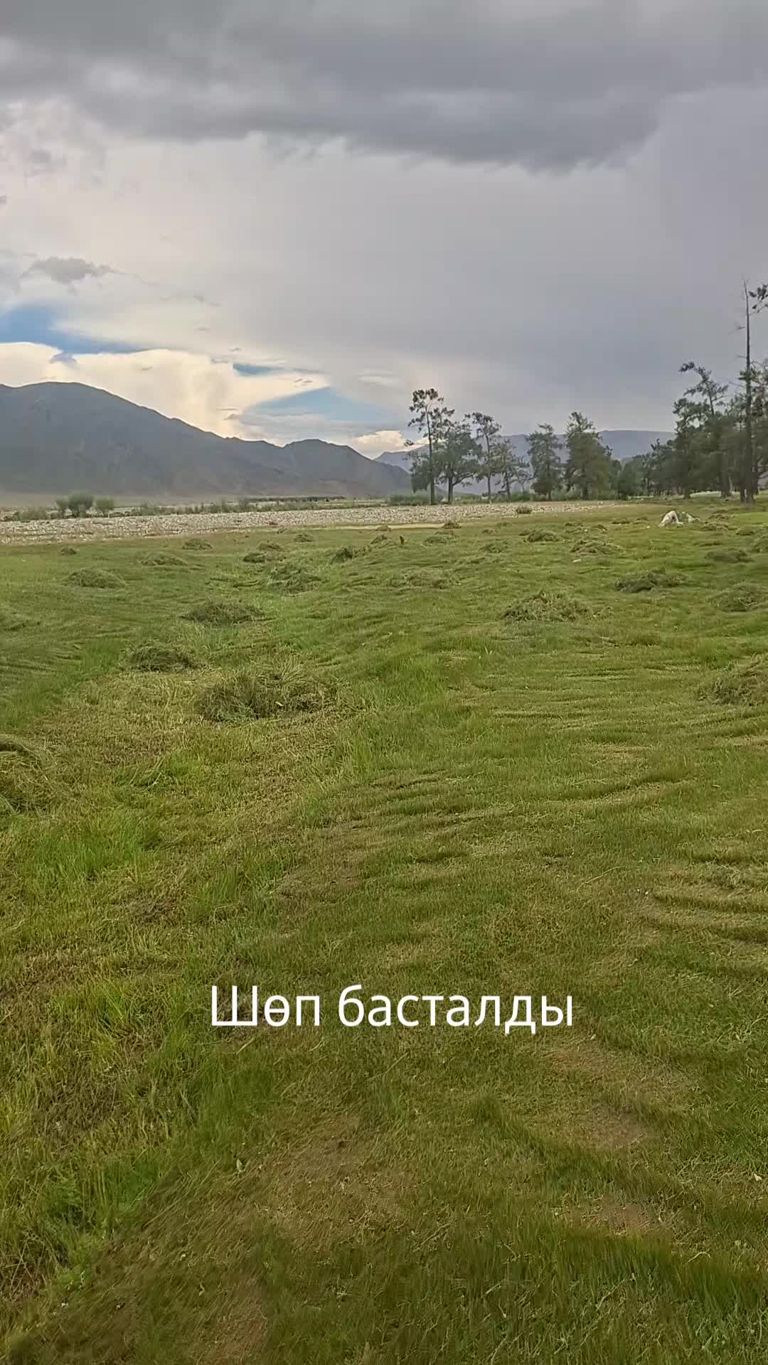 @MURAGYER ERBOL