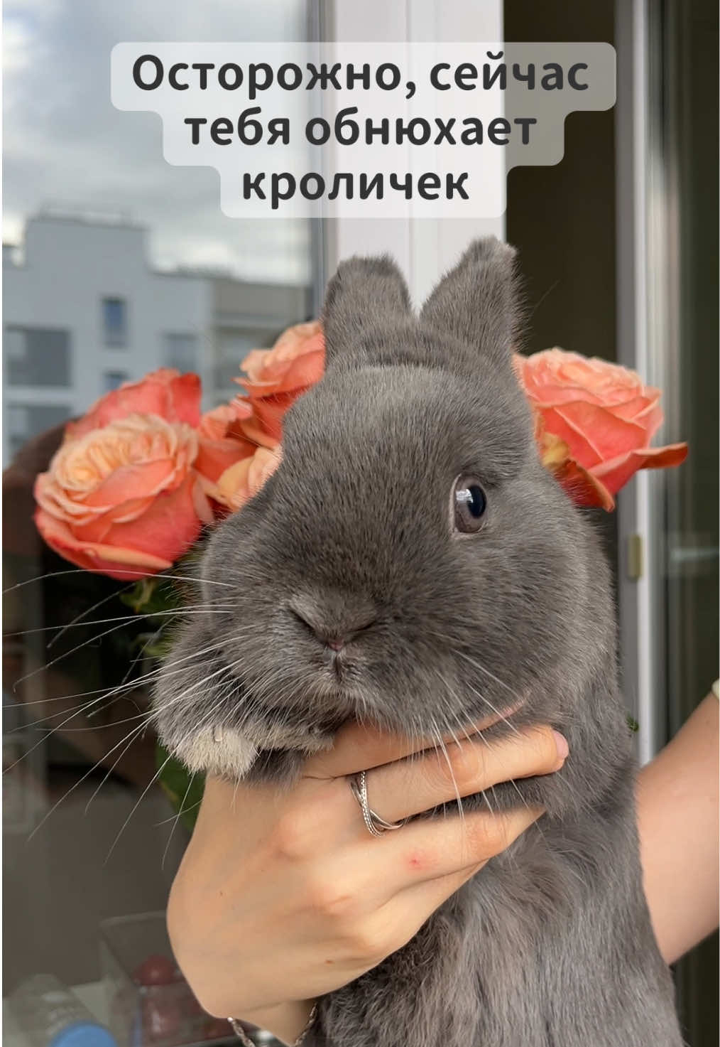 @Пусик