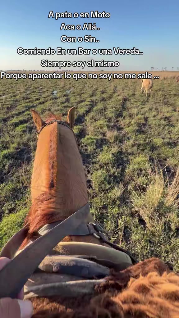 @Ramón_Batalla🫡