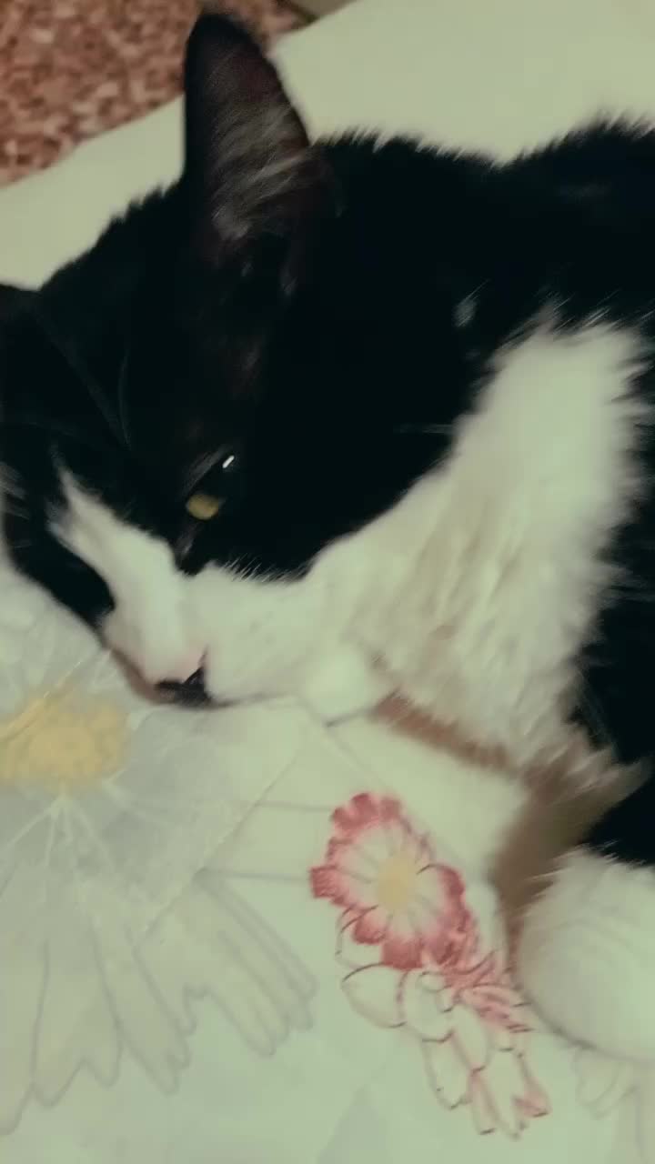 @Gabrycat00
