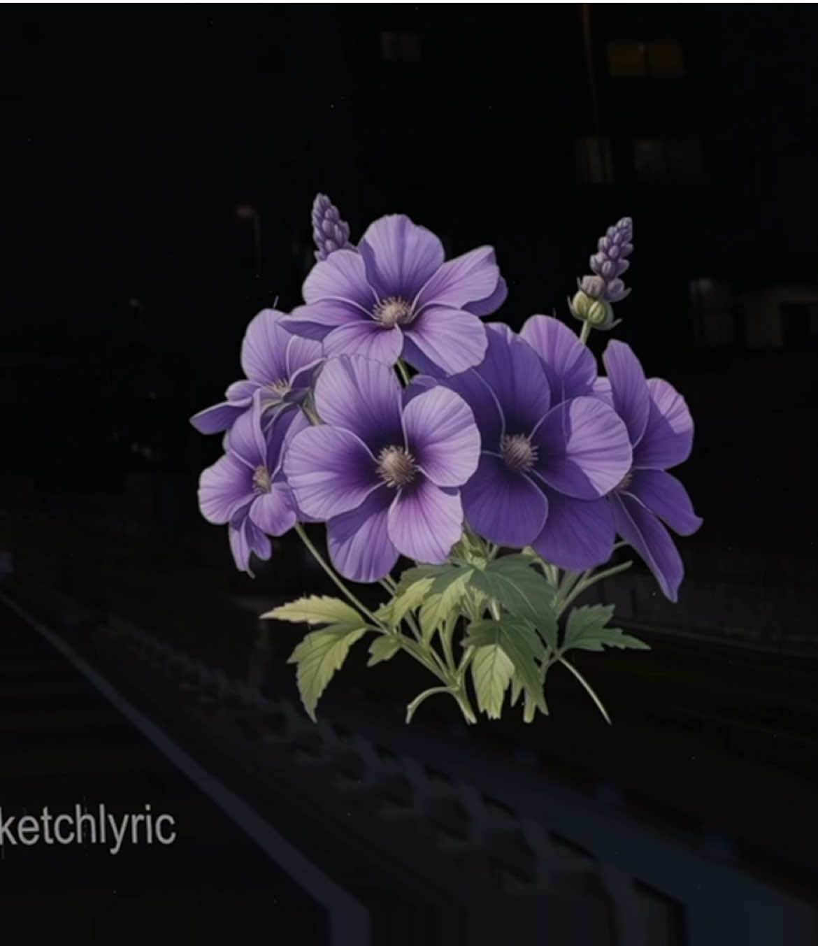 @sketchlyric🎧