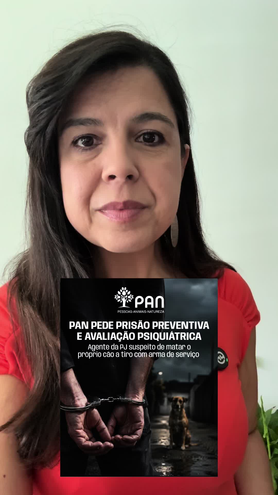 @Inês Sousa Real