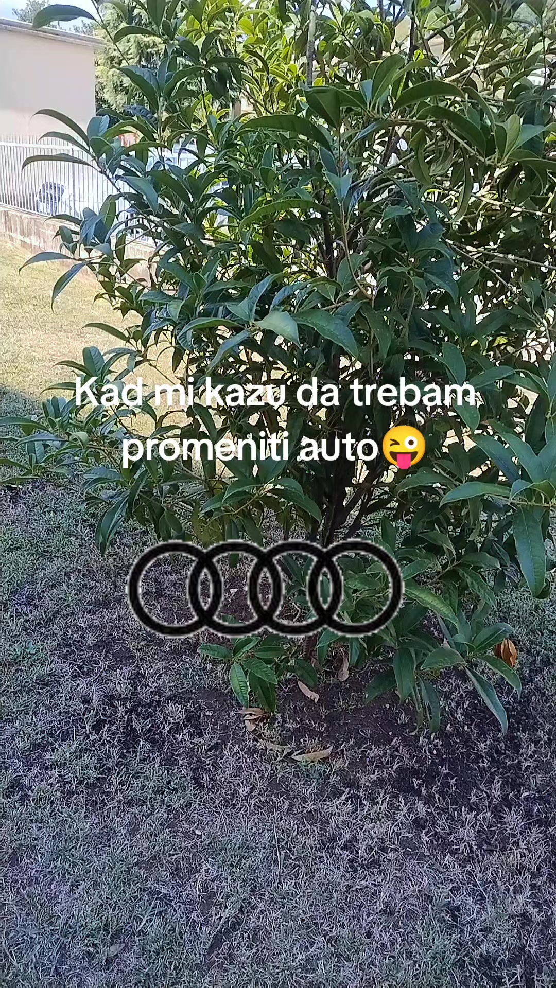@Jadranka Brankovic