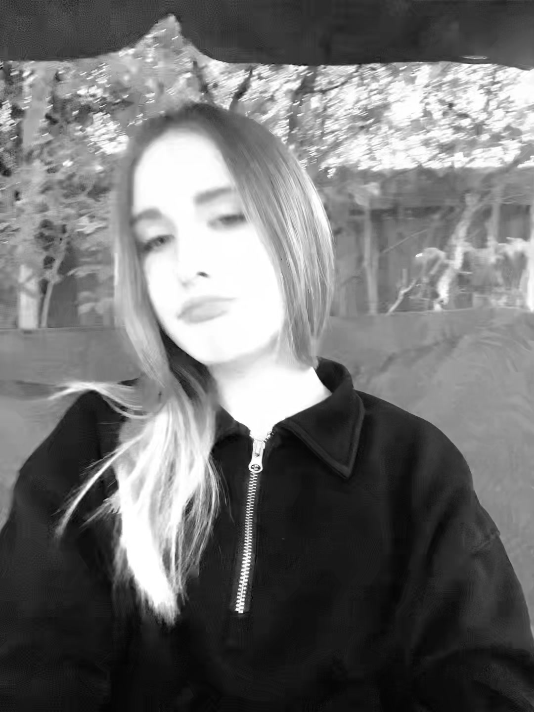 @sashwq