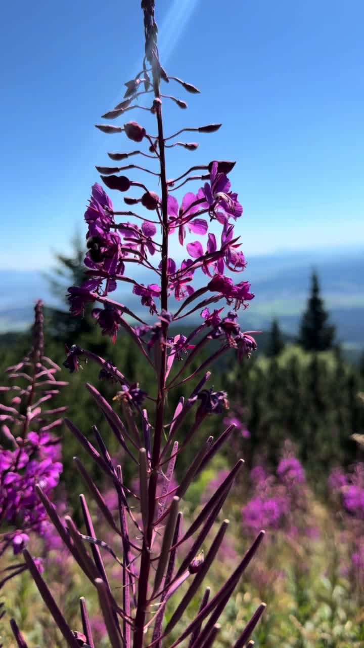 @Hiking 💚TaTry💚