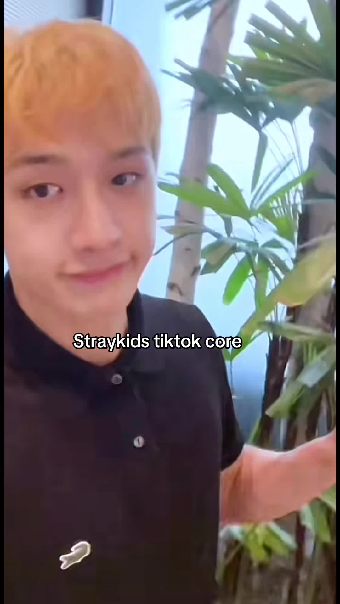 @straykidsloverfan84