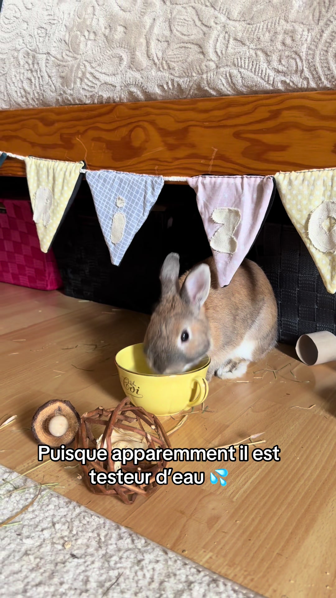 @Arizona🐰🤎