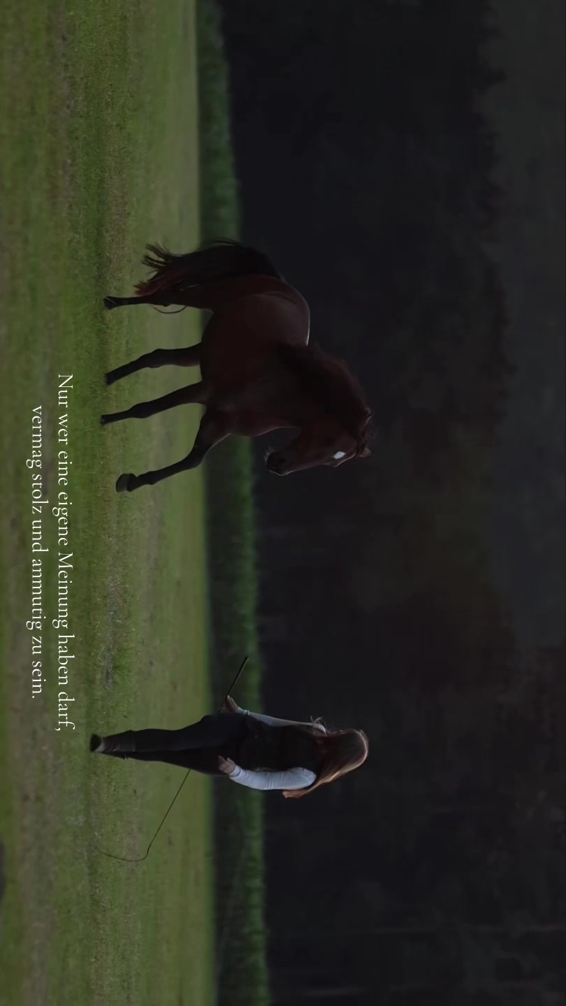 @FieryHorses ❤️&zwj;🔥