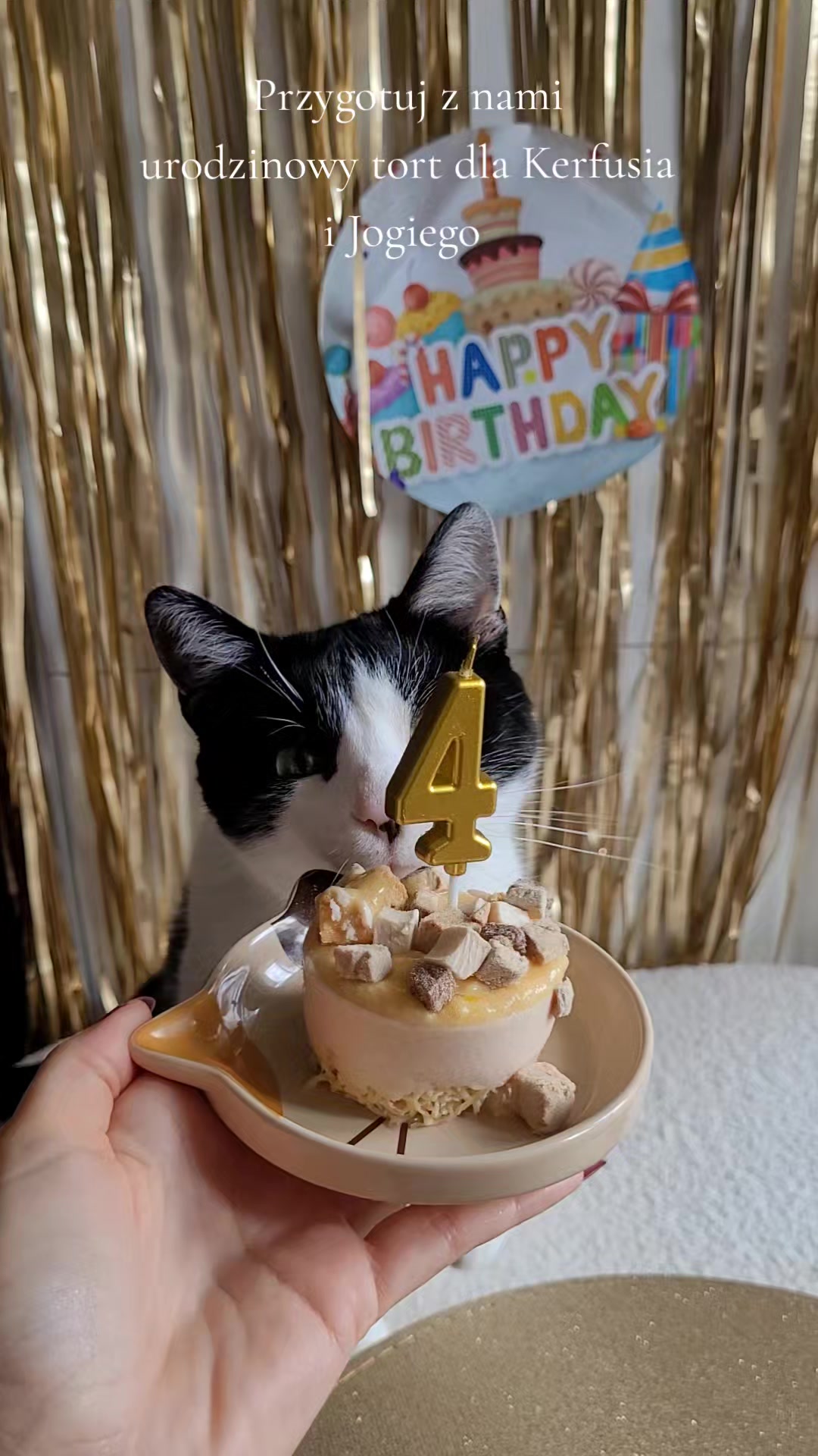 @😻Ekipa Świrka 😻