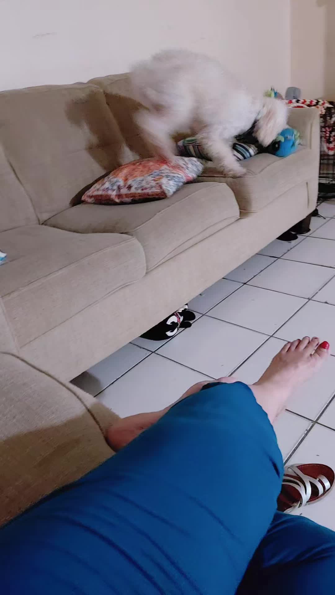 @eloisabello64