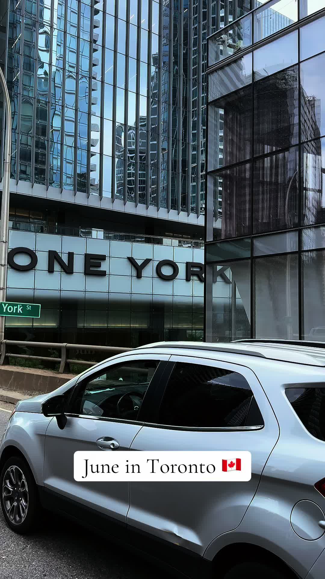 @Toronto Vibe🇨🇦