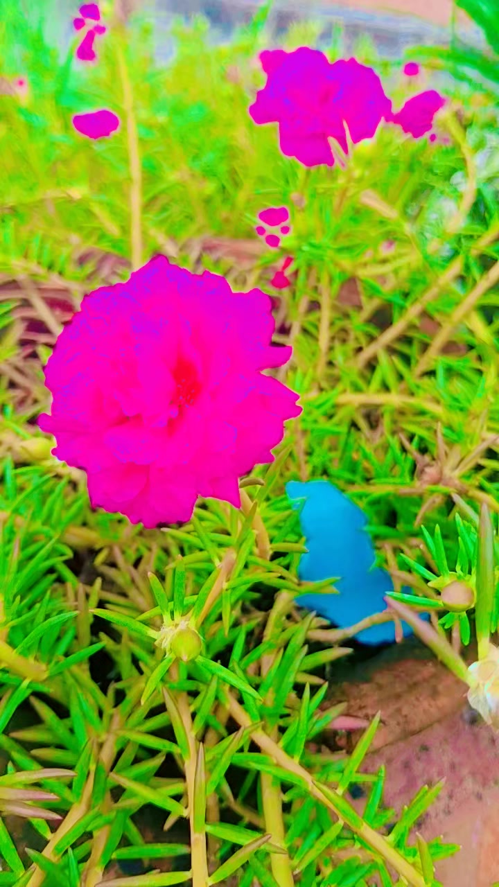 @Mr:-Hari Kathariya🤞💌❣️