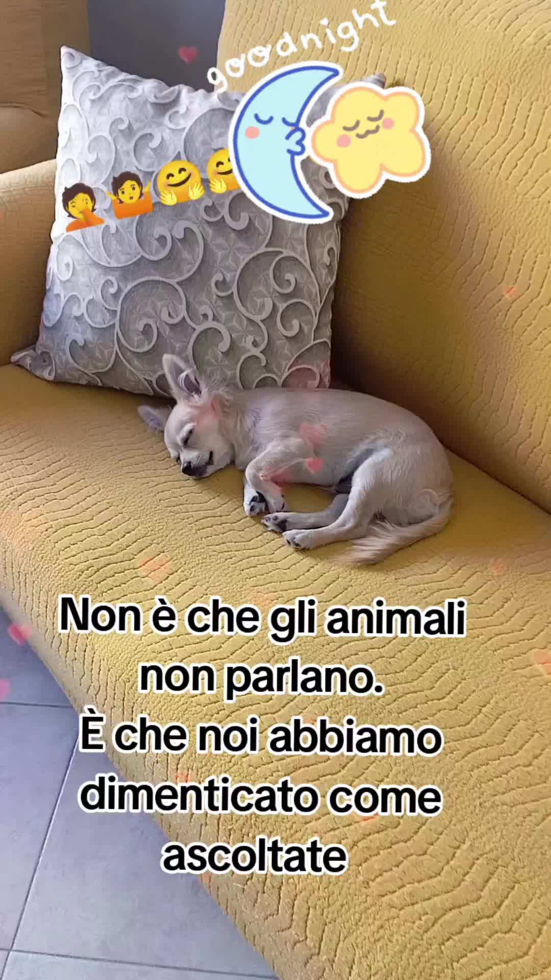 @ELE..meglio folli che noiosi
