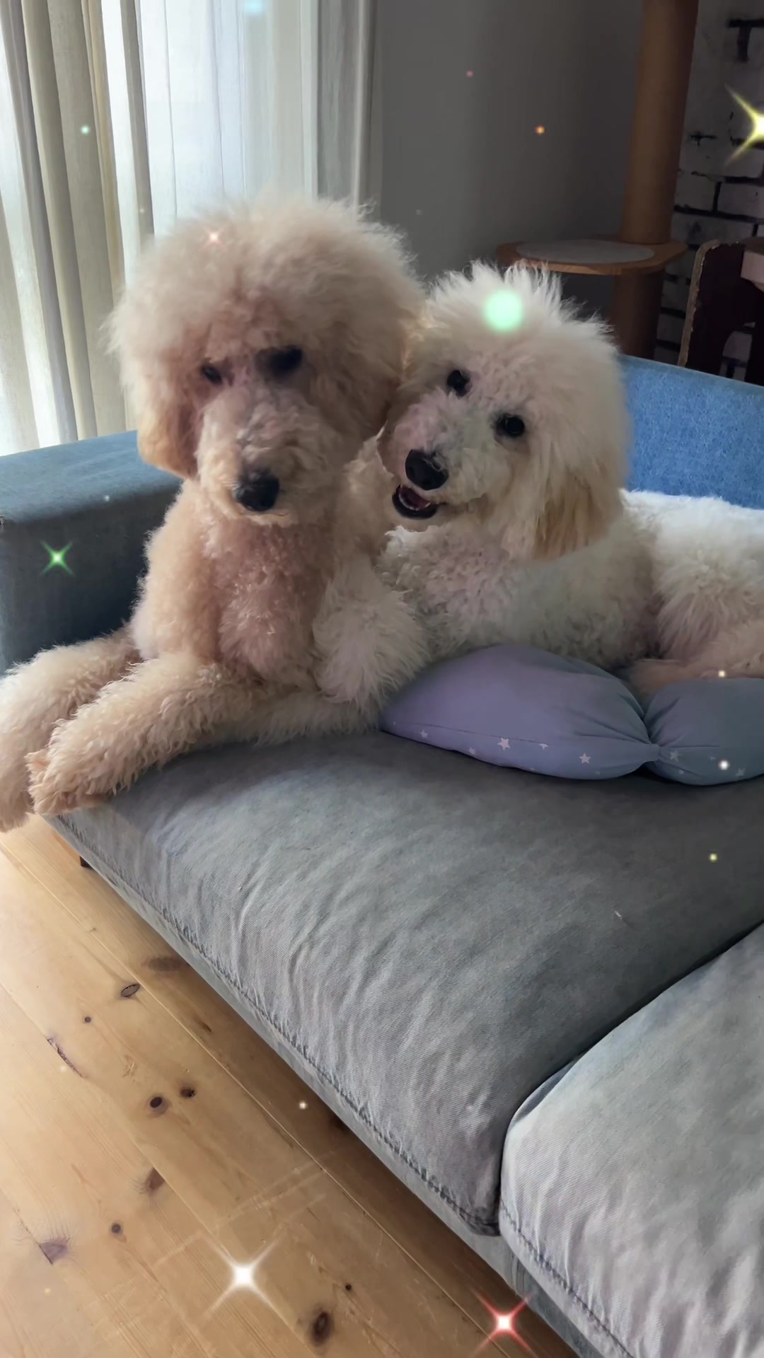 @ใใณใทใณ๐ถใจใใใ๐ถ๐ธๆใ
ใใฃใกใใ