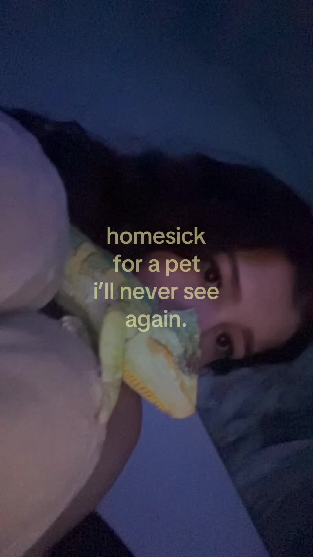 @phoebespam75