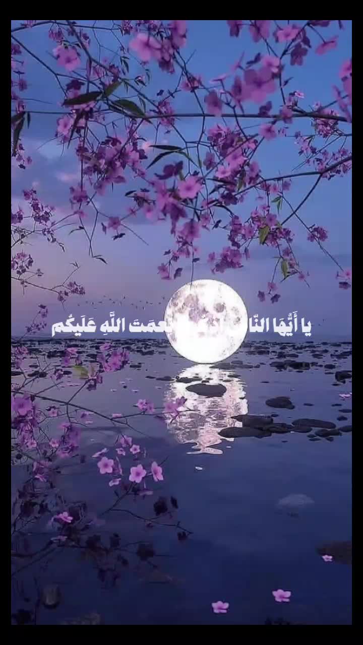 @💫 Mohamed 💫
