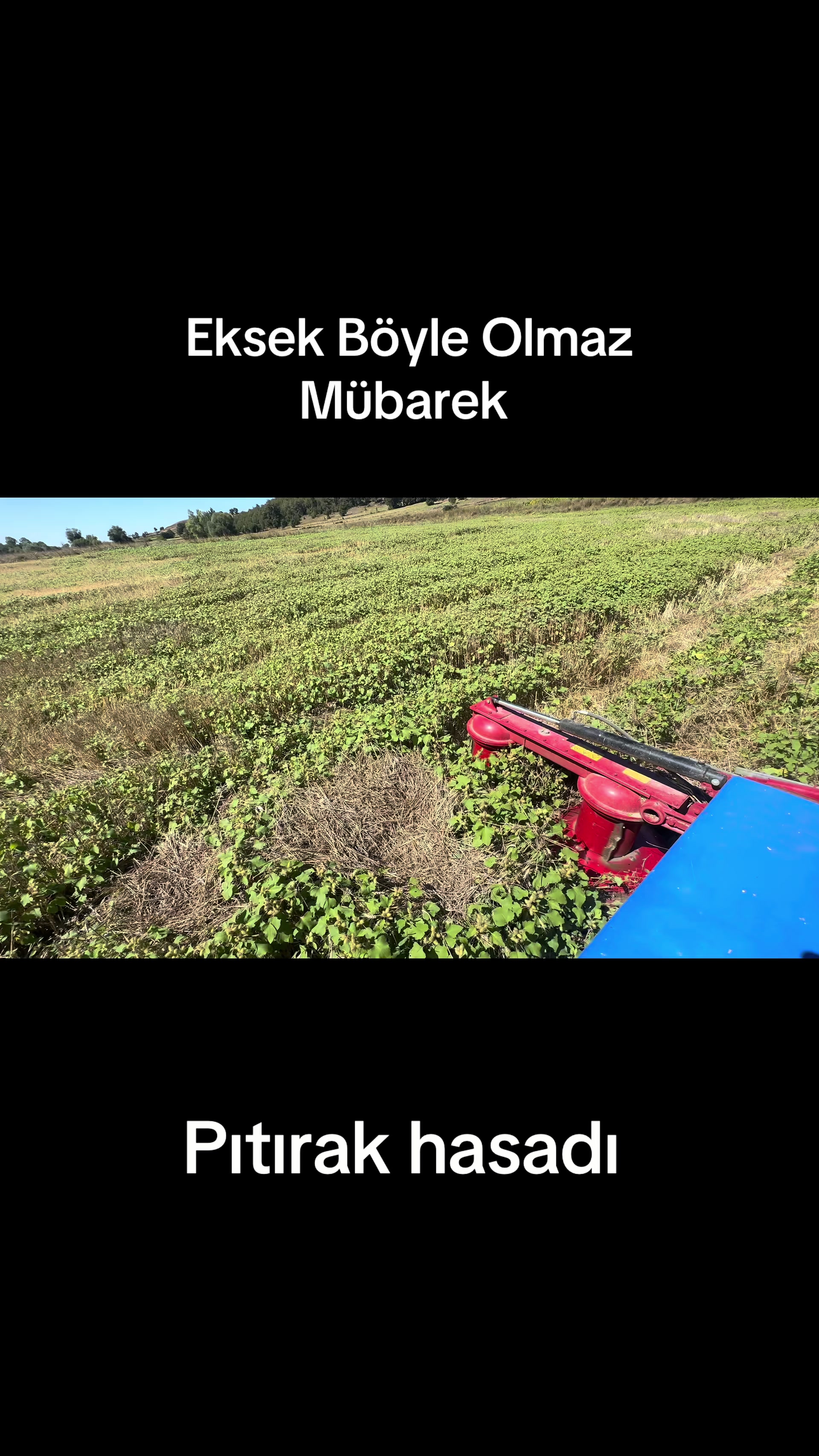 @Yılmaz Otomotiv