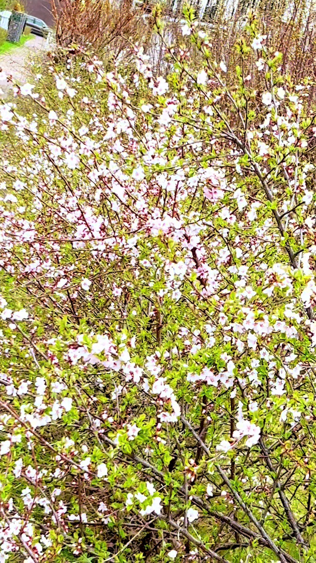 @Evgenia LR