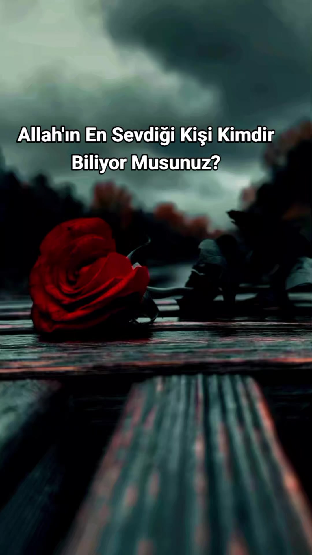 @Kur'an_ayet_hadis_ve_duâ