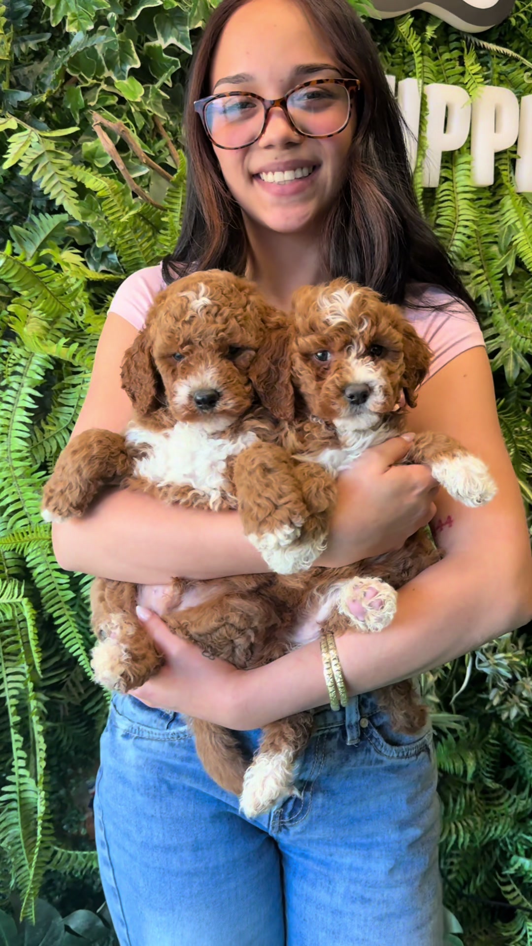 @FurbabyPuppies