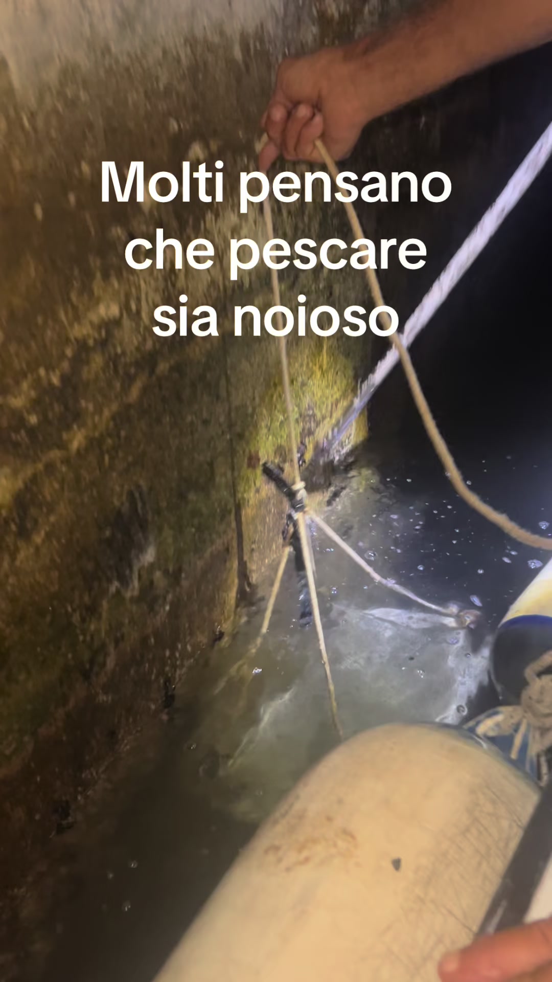 @Luca Meola