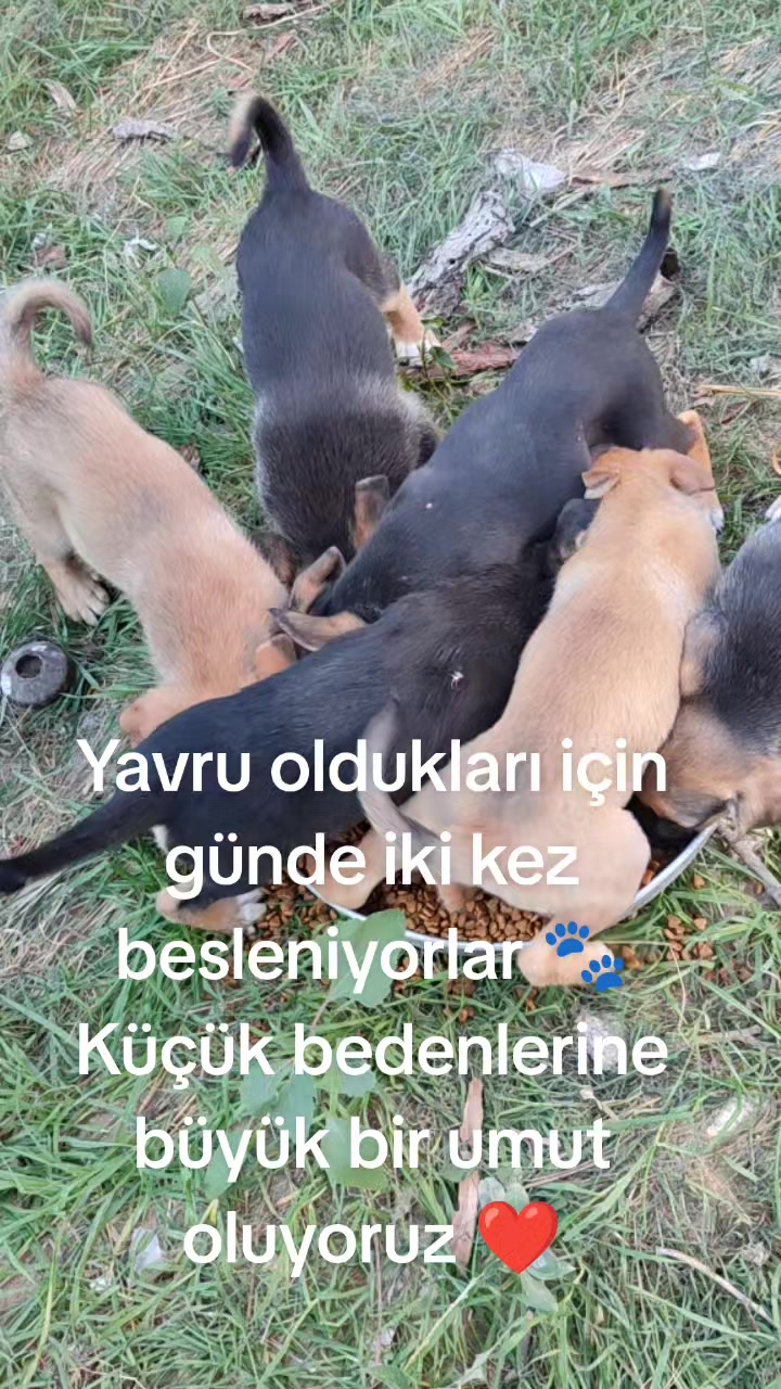 @user00352055Saysun