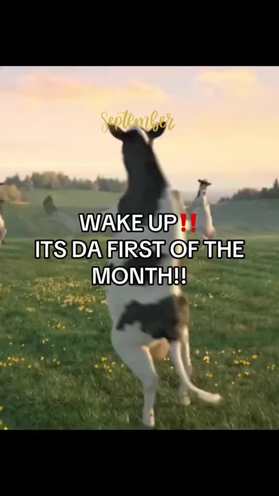 @𝑺𝑪𝑰𝑺𝑺𝑶𝑹𝑺