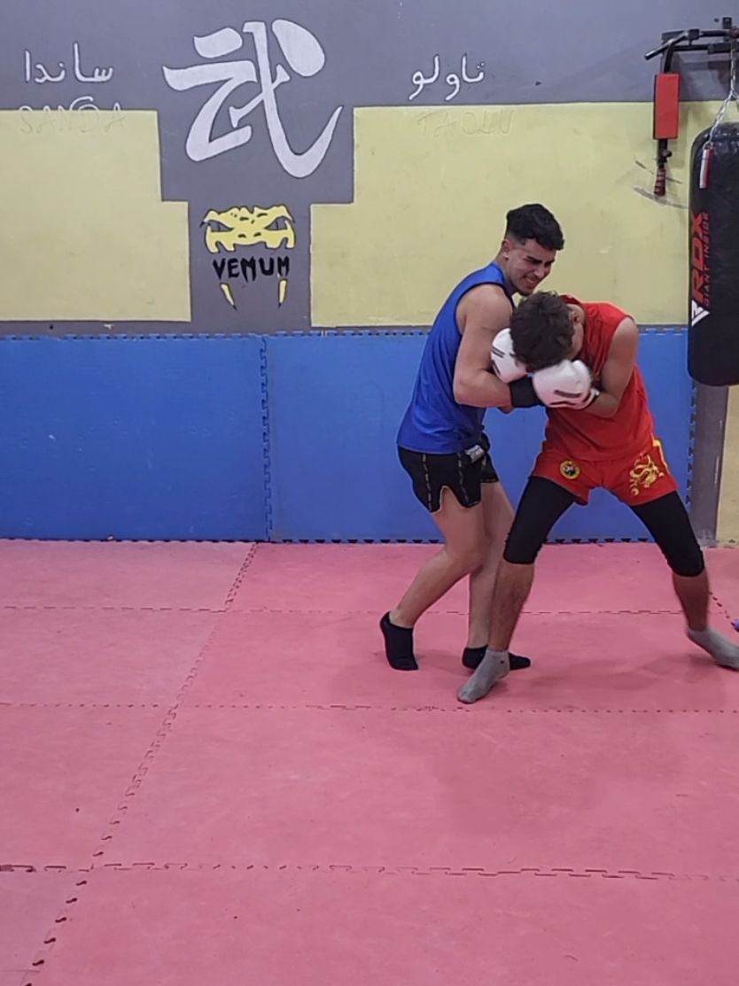 @Coach Amine Benfredj kung fu
