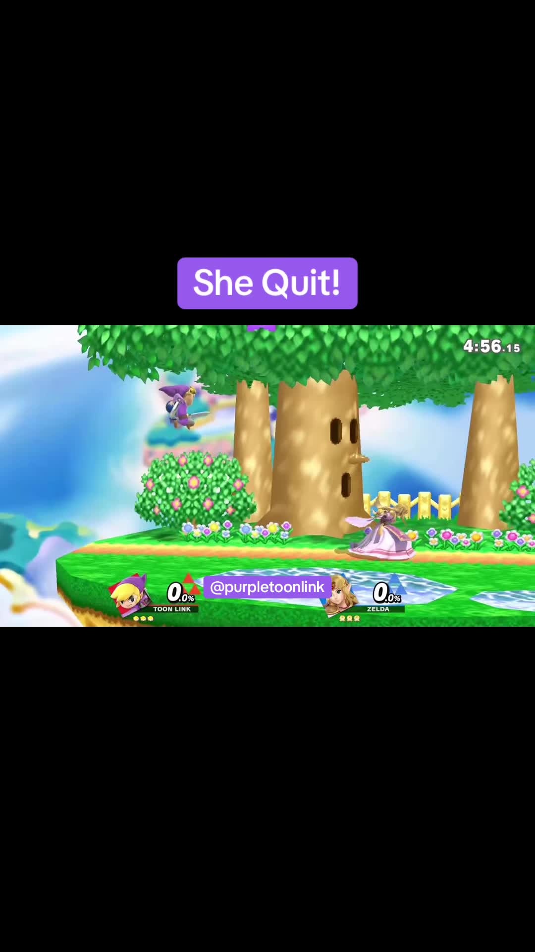 @Purple Toon Link