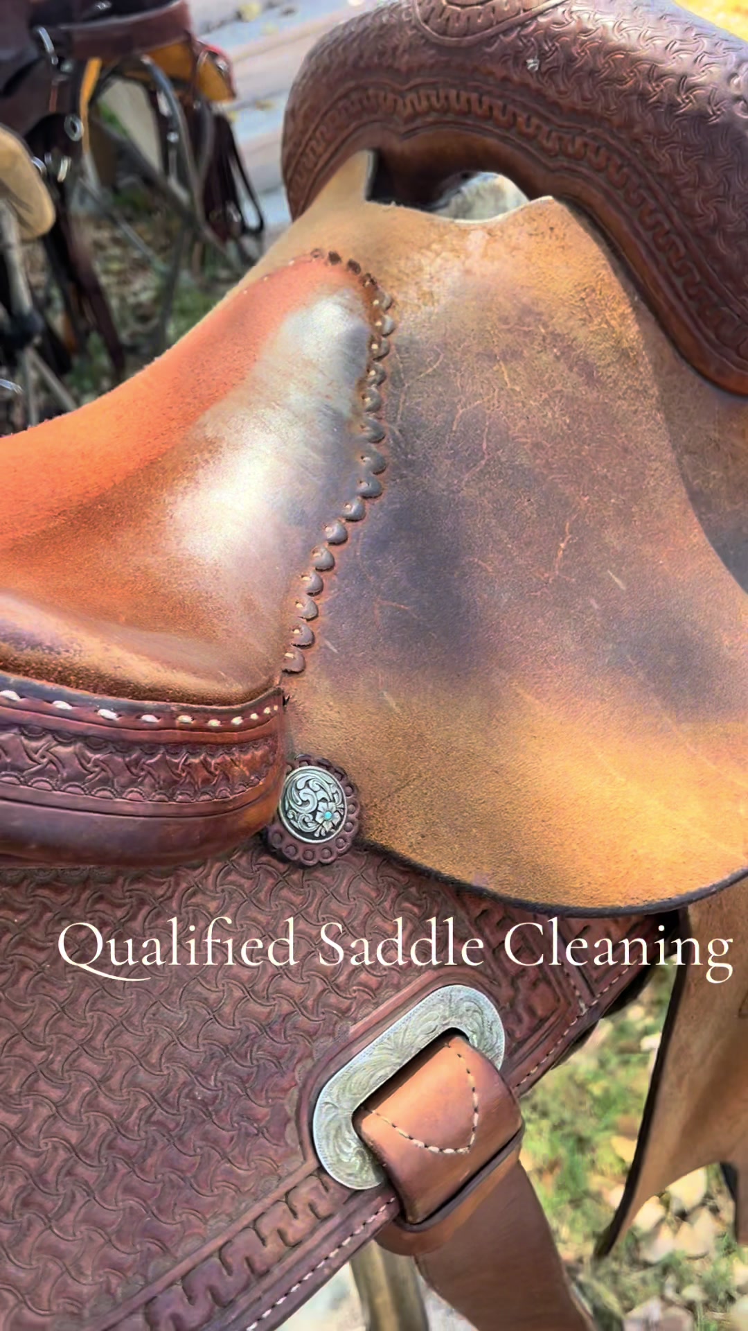 @Qualified Saddle Cleaning